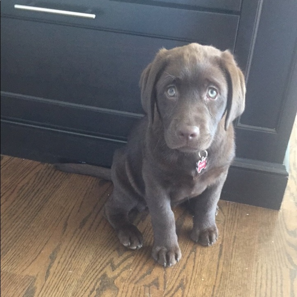 Meet your Posher, Carrie